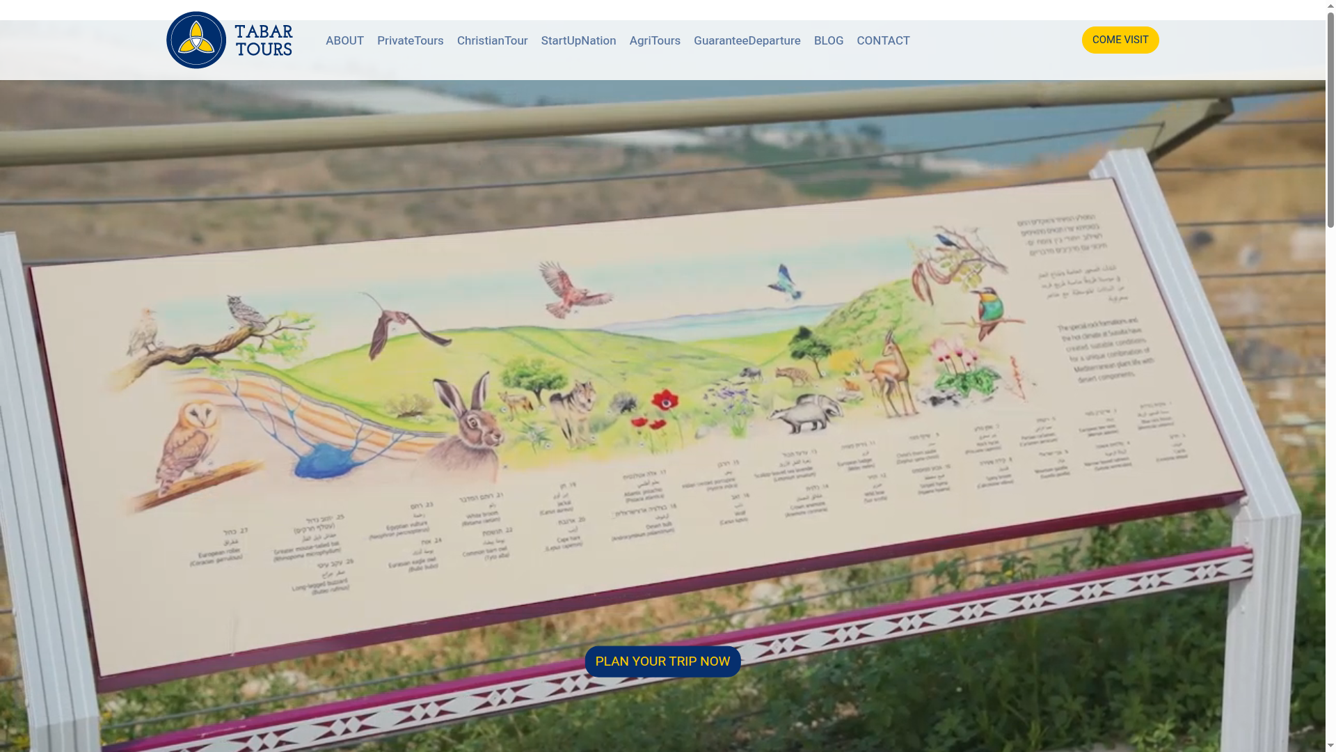 Tabar Tours — מיתוג ודיגיטל